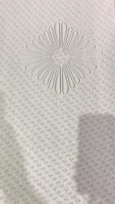 O GV reciclou o poliéster 160gsm fez malha a tela do jacquard para o fundamento